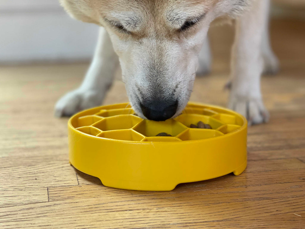 Honeycomb eBowl Deep Slow Feeder Dog Bowl for Enrichment | USA Made